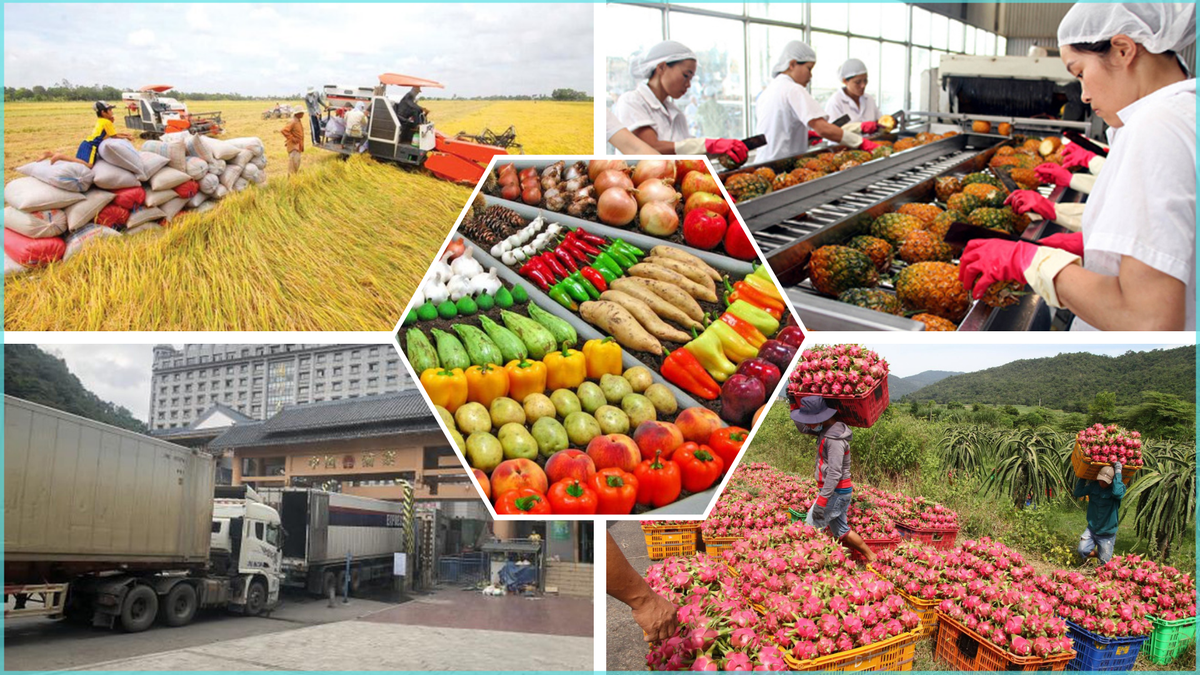 Mở rộng thị trường xuất khẩu rau quả